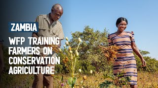 In Zambia, Mainner is farming for her family's future. screenshot 2