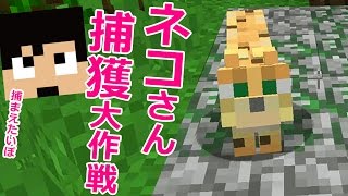 【カズクラ】ネコ捕獲大作戦！マイクラ実況 PART702
