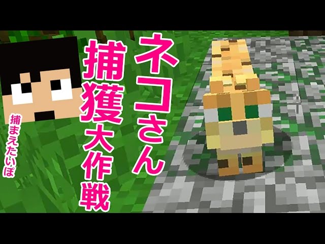 カズクラ ネコ捕獲大作戦 マイクラ実況 Part702 Youtube