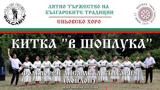 видео: Китка  картинка: Китка