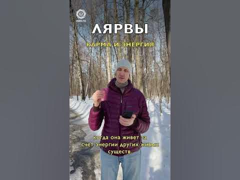 Эволюция лярвы - YouTube