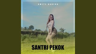 Santri Pekok