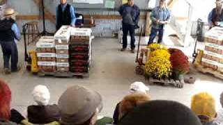 FENNIMORE AMISH PRODUCE AUCTION 6