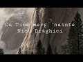 Nicu Drăghici - Cu Tine merg 'nainte