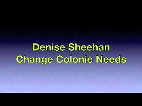 Denise Sheehan - Change Colonie Needs