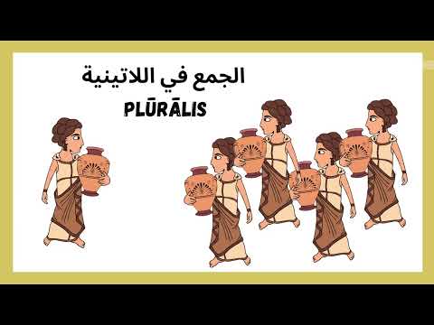 فيديو: هل autre لها صيغة الجمع؟