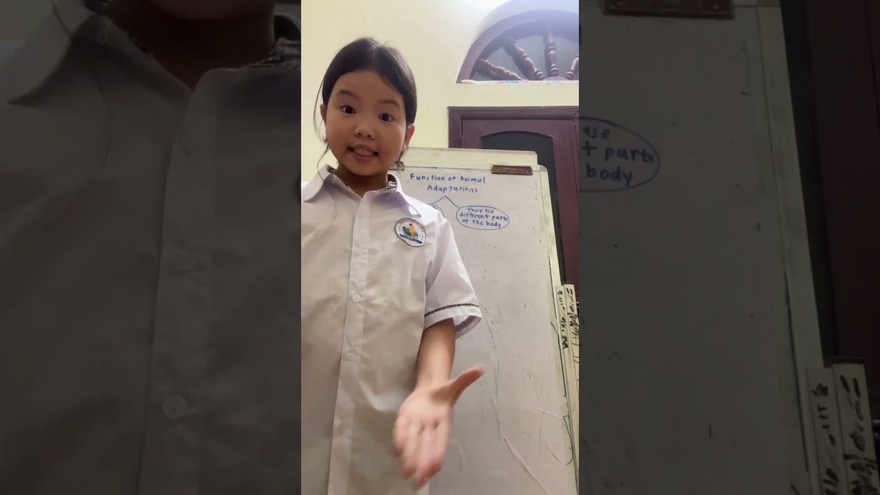 #ecology Function of Animal Adaptations