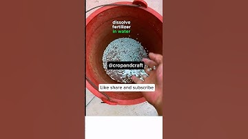 The Right Way to Fertilize Your Vegetables at Home! #garden #gardenhacks #shorts