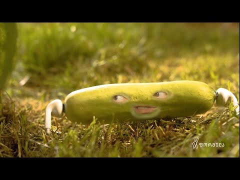 კიტრების დასაქმების პროგრამა - ბოსტანი - III ეპიზოდი