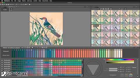 Automatic color variations