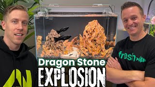 Molly Fish Dragon Stone Aquascape - UNS 60U Build