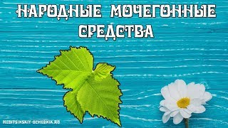Лекарственные и народные мочегонные средства Лекарственные и народные мочегонные средства
