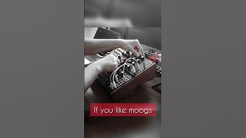 Moog DFAM x Moog Subharmonicon