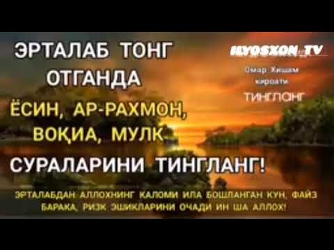 Erining eshagida xoroz