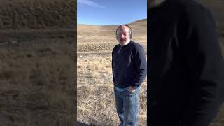 Famous #1 Cherish Wealth