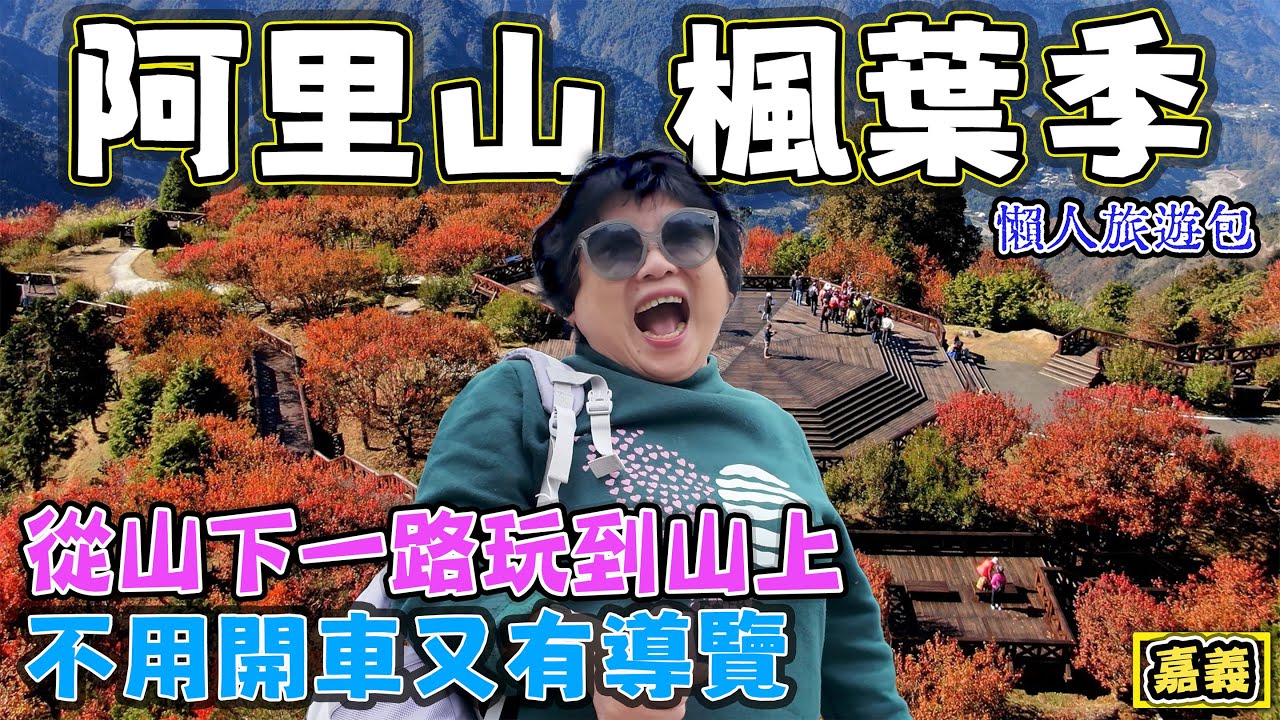 【阿里山楓葉季 】一路從山下玩到山上 聰明旅遊又有導覽 二延平步道 奮起湖 阿里山神木車站 祝山觀日出