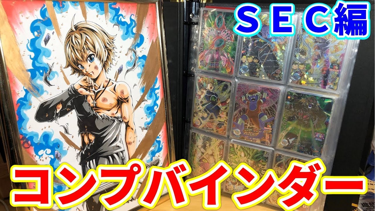全弾SEC集】SECのフルコンプリートバインダーを紹介していく【後編 