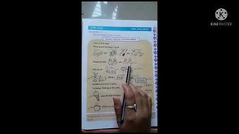 Little steps: One , Two , Three std 5 || English || Sem 1