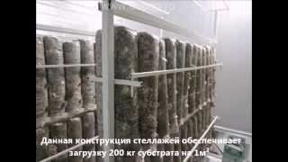Сборка климодулятора производительсностью 5 тонн грибов в месяц