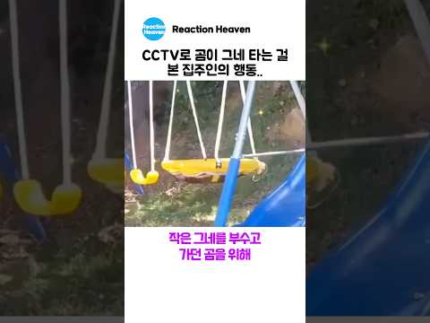 CCTV로 곰이 그네 타는 걸 본 집주인의 행동.. thumbnail