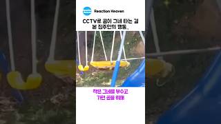 CCTV로 곰이 그네 타는 걸 본 집주인의 행동..