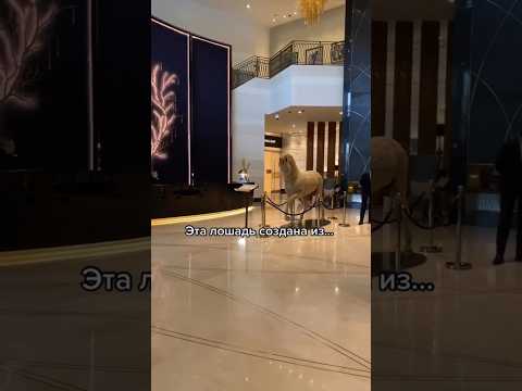 «Узнайте все о популярной игре Асыки в Казахстане»