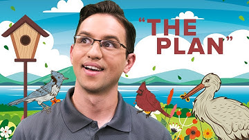 Building a bird-watching station