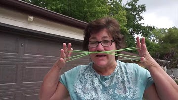 String Tricks - Cats Whiskers