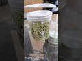 What should be noted about honeysuckle drying?