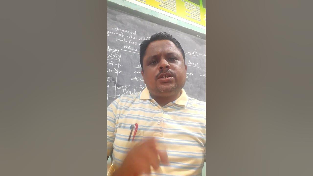 What Is Back Cross And Test Cross YouTube what-is-back-cross-and-test-cross-youtube