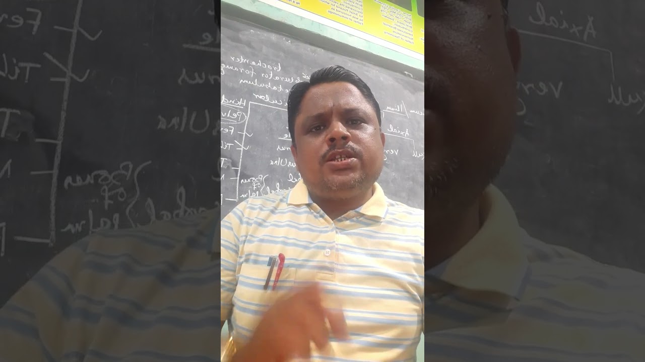 What Is Back Cross And Test Cross YouTube what-is-back-cross-and-test-cross-youtube