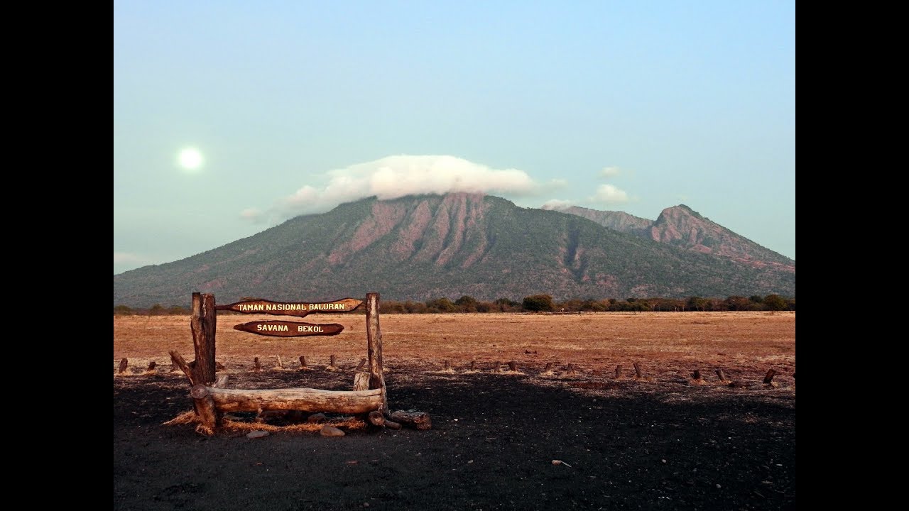 Taman Nasional Baluran