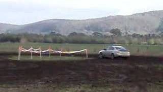 Paddock Bash Stig
