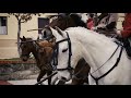 Toros Bravos Todo Sobre el Encierro a Caballo el Carnaval del Toro Ciudad Rodrigo