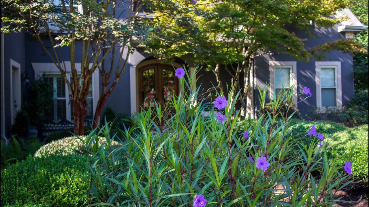 Real Estate 803 Dalrymple Dr. Amory, MS YouTube