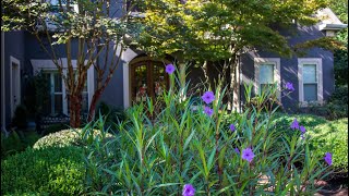 803 Dalrymple Dr. video tour