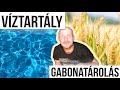 Gabonatárolás & víztartály 1/10 áron. HOGYAN ÉPÍTSD MEG APRÓPÉNZBŐL?