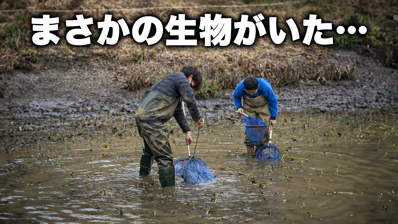 ザリガニだらけの池の水を抜いて生物調査した結果・・・