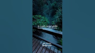 سورة شعراء #ياسر_الدوسري #القران_الكريم #اكسبلور #تلاوتقران #القرانالكريم
