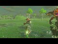 Bokoblin riders parry  the legend of zelda breath of the wild