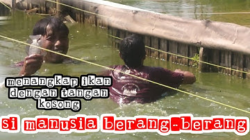 menangkap ikan dengan tangan kosong‼️si manusia berang-berang😱😱😱😱