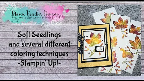 Soft Seedlings and several different coloring tech...
