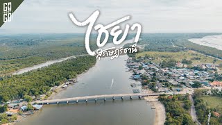 One of Thailand's top big San Sai and more Unseen Surat Thani at Chaiya | VLOG