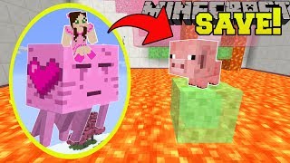 Minecraft: SAVE THE BABY PIG!!! (DEADLY LAVA TRAPS!) Custom Map