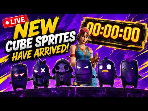 👑 #1 Fortnite Player In My City!