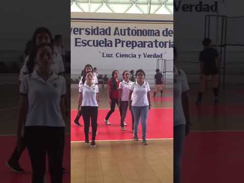 Formación de escolta