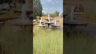 BOTANIC GARDENS CAMBRIDGE | UNIVERSITY OF CAMBRIDGE | FOUNTAIN | PARK | GREEN WORLD | PEACEFUL