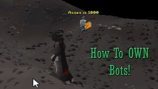 How to Mess With BOTS on OSRS