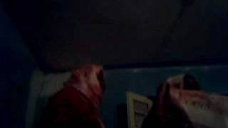 Capture 20090606