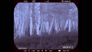 300 HAM’r meet 260lbs Boar! (Wave ATRIS 635 v2)